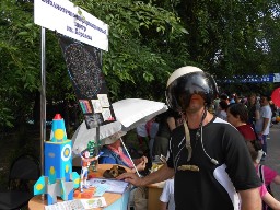 Дон сказочный