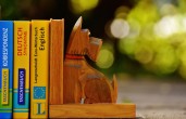 КниГАВ в парке