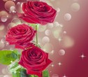 Звездное шоу