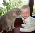 С любовью к братьям нашим меньшим