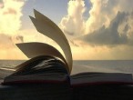 Не реальный, видимый мир, а способность поэзии выразить то, что скрывается за ним