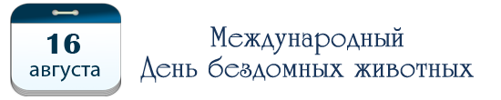 Международный День бездомных животных